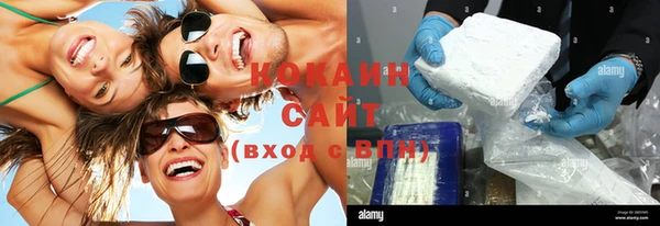 сатива Магас