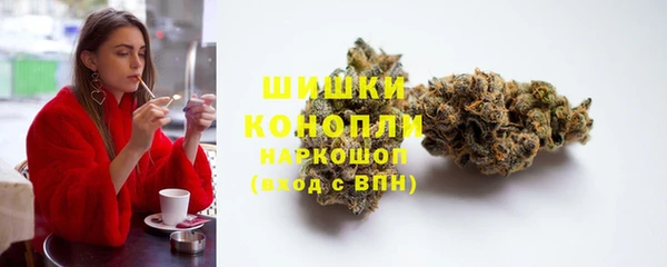 сатива Магас