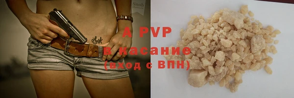 сатива Магас