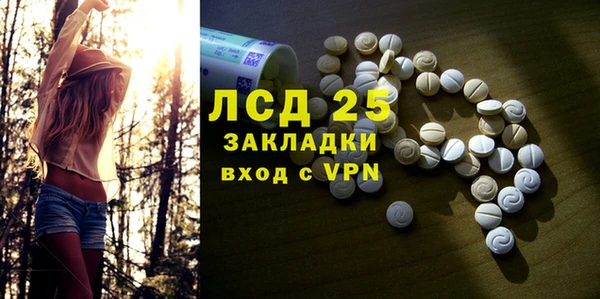 сатива Магас