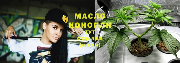сатива Магас