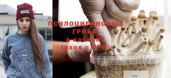 сатива Магас
