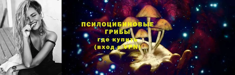 Псилоцибиновые грибы MAGIC MUSHROOMS  Курган 