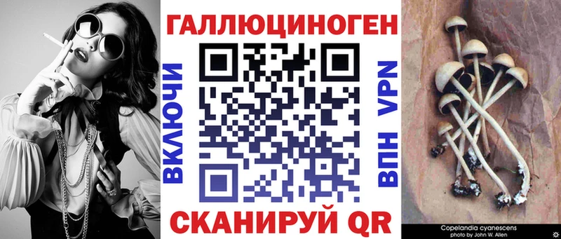 Галлюциногенные грибы Psilocybine cubensis  кракен как войти  Курган 