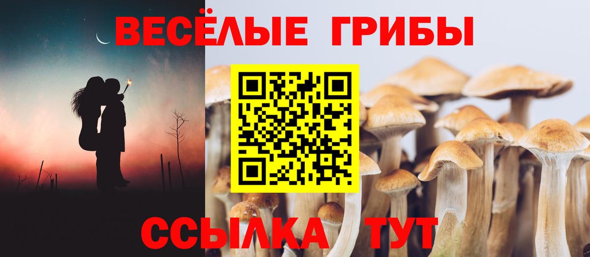 Галлюциногенные грибы мицелий Курган