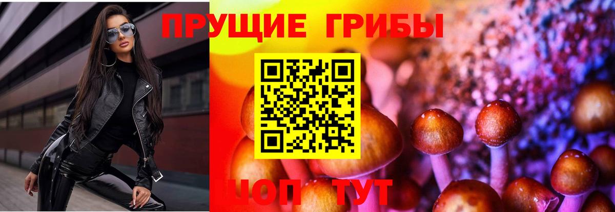 Галлюциногенные грибы Magic Shrooms  Курган 